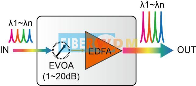 Optical Amplifier EDFA 