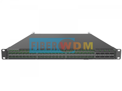  Data Center Switch 48x100Ge DSFP ports and 8x400Ge QSFP-DD uplink ports DS610 